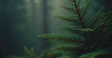 When Faith Feels Distant: Rebuilding Your Connection with God