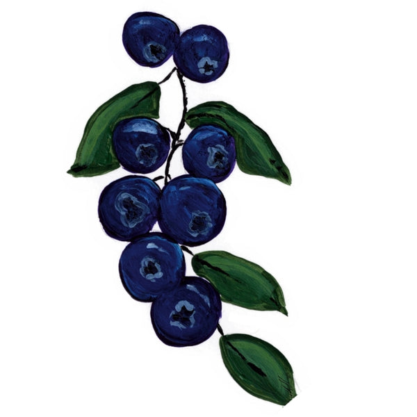 Blueberry Sprig Waterproof Vinyl Sticker | Hand-Painted 3-Inch Decal for Water Bottles, Laptops & Journals