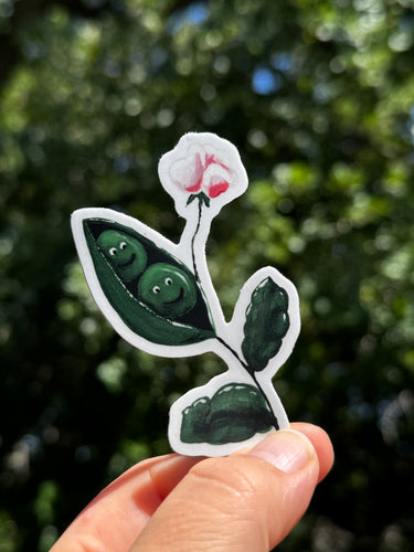 Two Peas in a Pod Waterproof Vinyl Sticker | Hand-Painted 3-Inch Decal for Water Bottles, Laptops & Journals